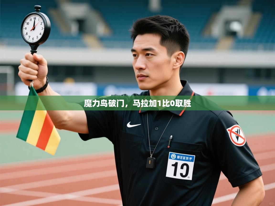 开云体育app官网-魔力鸟破门，马拉加1比0取胜