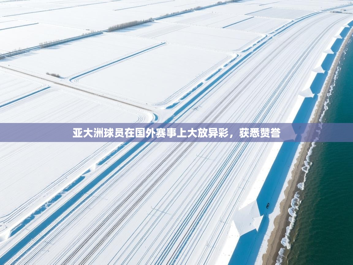开云官网-亚大洲球员在国外赛事上大放异彩，获悉赞誉  第1张