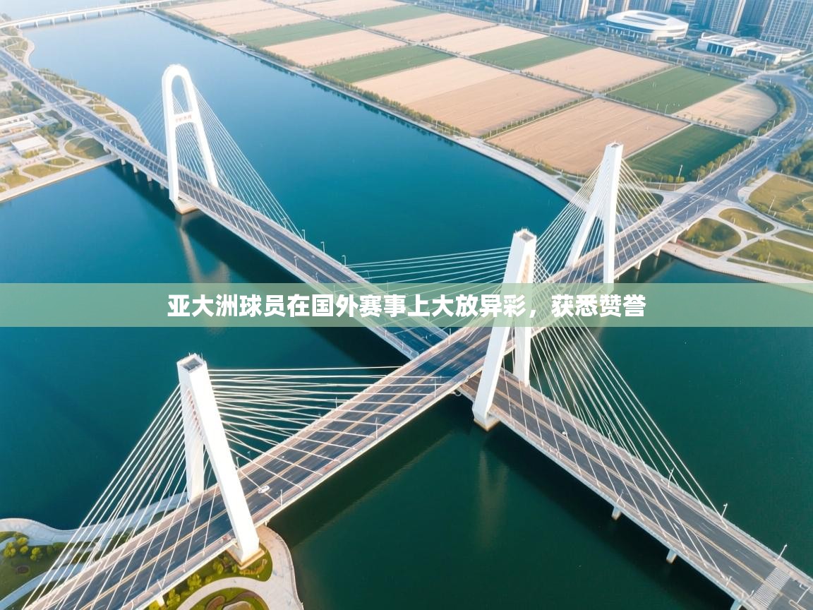 开云官网-亚大洲球员在国外赛事上大放异彩，获悉赞誉  第2张