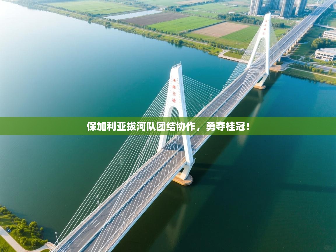 开云数据-保加利亚拔河队团结协作，勇夺桂冠！  第2张