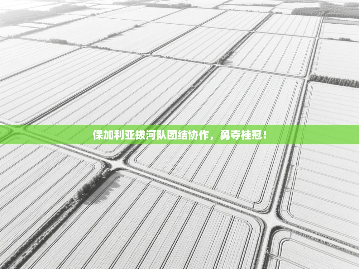 开云数据-保加利亚拔河队团结协作，勇夺桂冠！  第4张